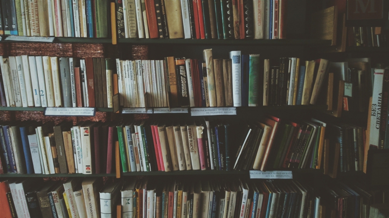 librairie-TOULON-min_bookcase-1869616